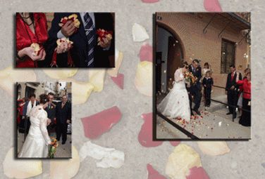 20070329103621-s-8.gif