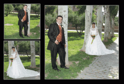 DAVID--ANA